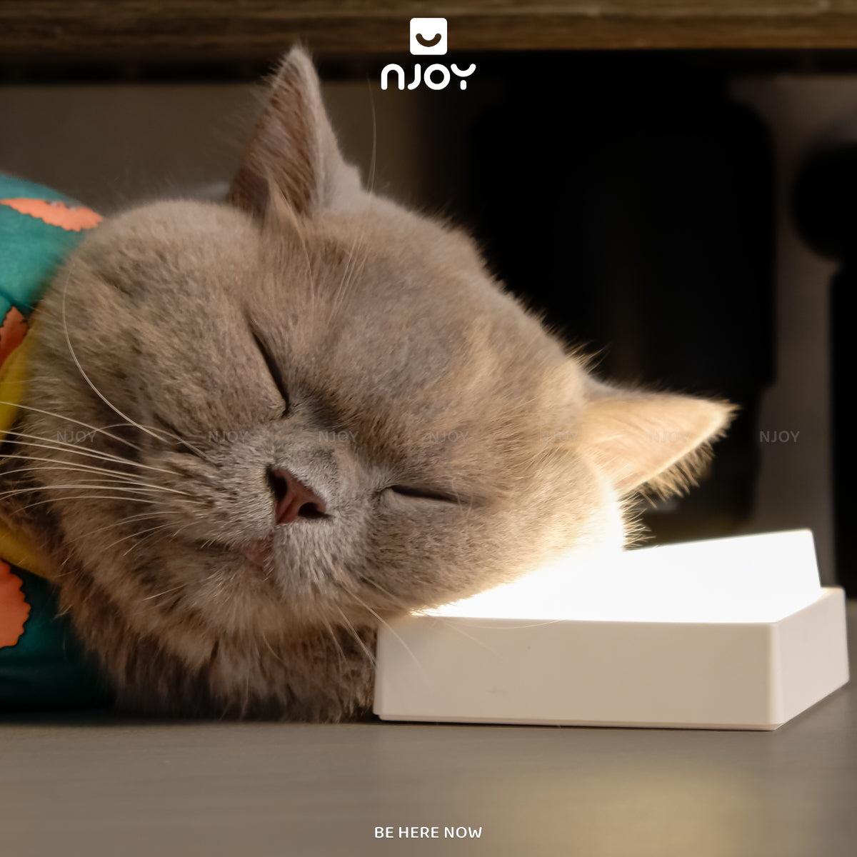 Đèn Ngủ Decor Tối Giản Để Bàn Hẹn Giờ Điều Chỉnh Sáng Kèm Miếng Dán Gắn Tường